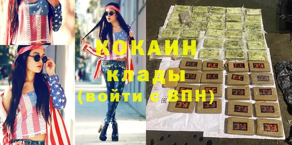 дживик Горняк