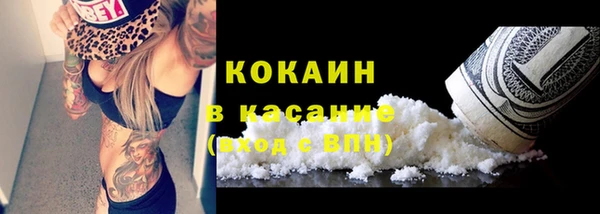 дживик Горняк