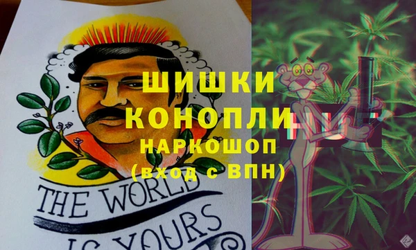 дживик Горняк