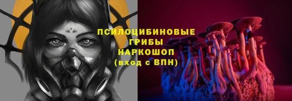 дживик Горняк