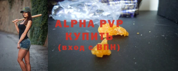 дживик Горняк