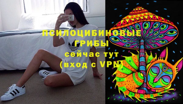 дживик Горняк