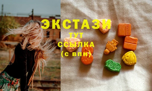 дживик Горняк