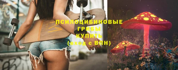 дживик Горняк