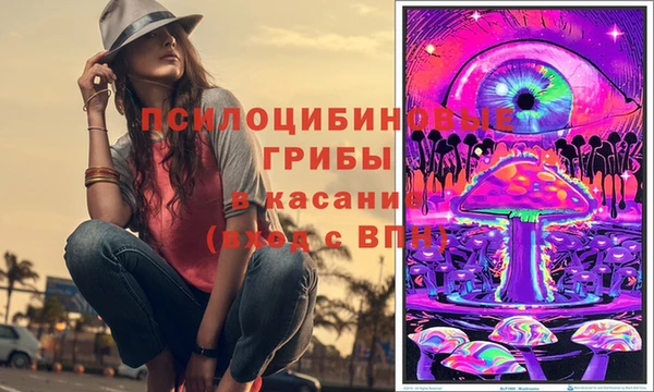 дживик Горняк