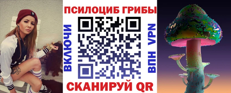 Псилоцибиновые грибы Psilocybe  Купить где  Ардон 